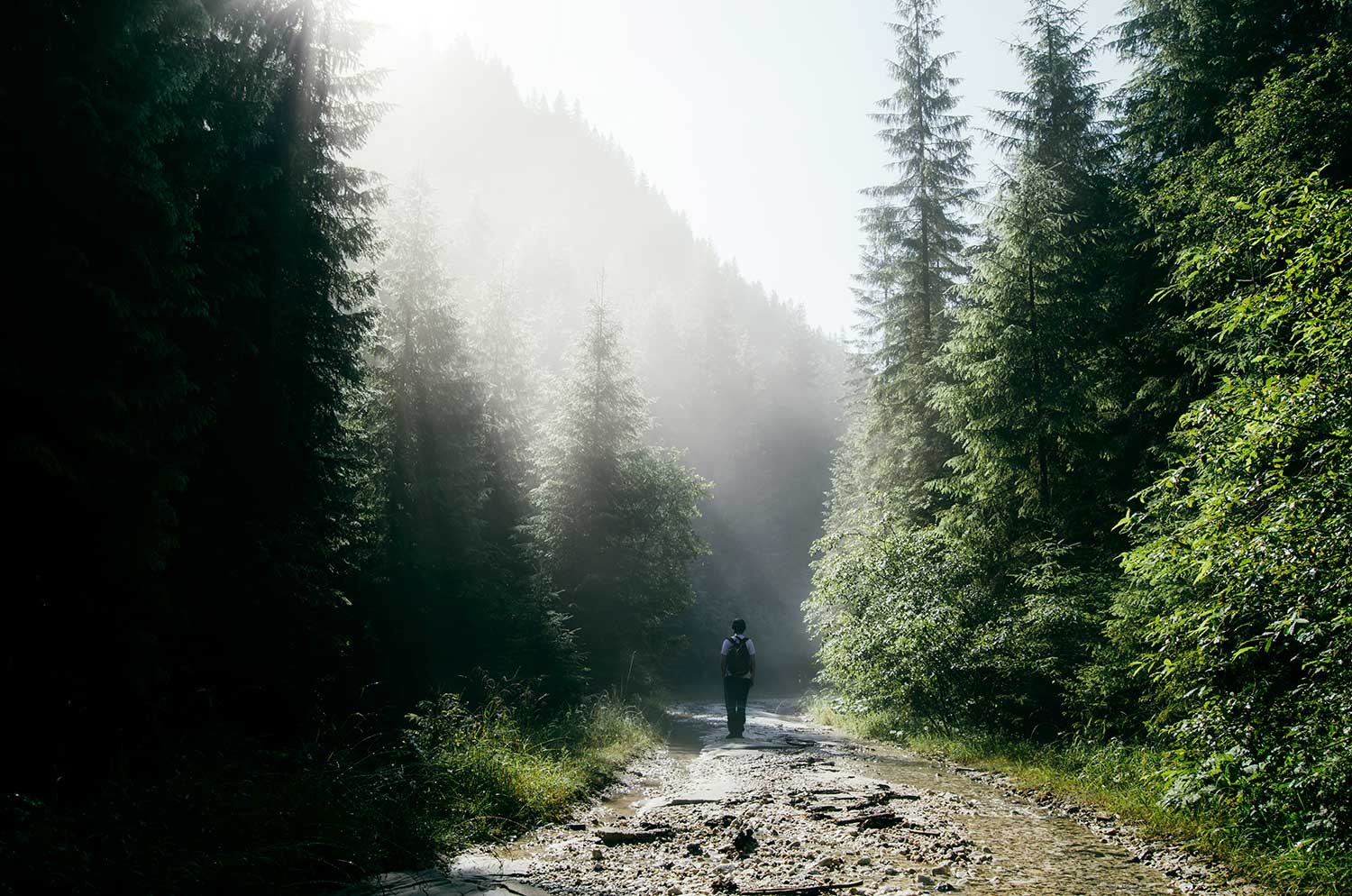 Townsville Clinical Psychology Services